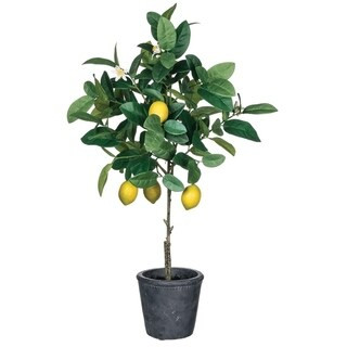 Lemon Potted Plant | Bed Bath & Beyond