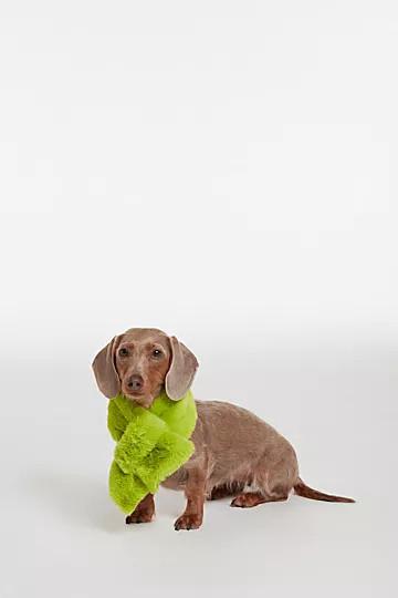 APPARIS Luna Pet Scarf | Free People (Global - UK&FR Excluded)