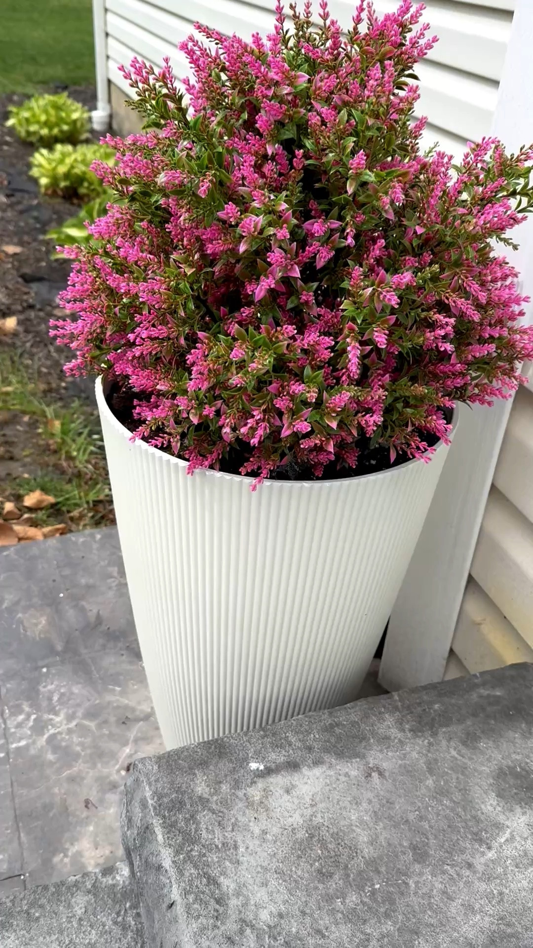 These fake plants come in a two pack and look SO good!!! I’m obsessed! Linking both the plant from Amazon and the planter from Walmart!


#LTKMothersDay #LTKHome #LTKSeasonal