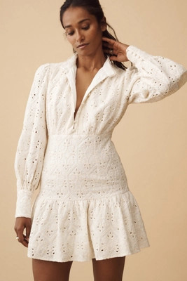 Bardot Remy Long-Sleeve Lace Mini Dress | Anthropologie (US)