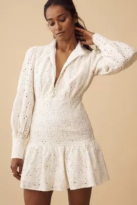 Bardot Remy Long-Sleeve Lace Mini Dress | Anthropologie (US)
