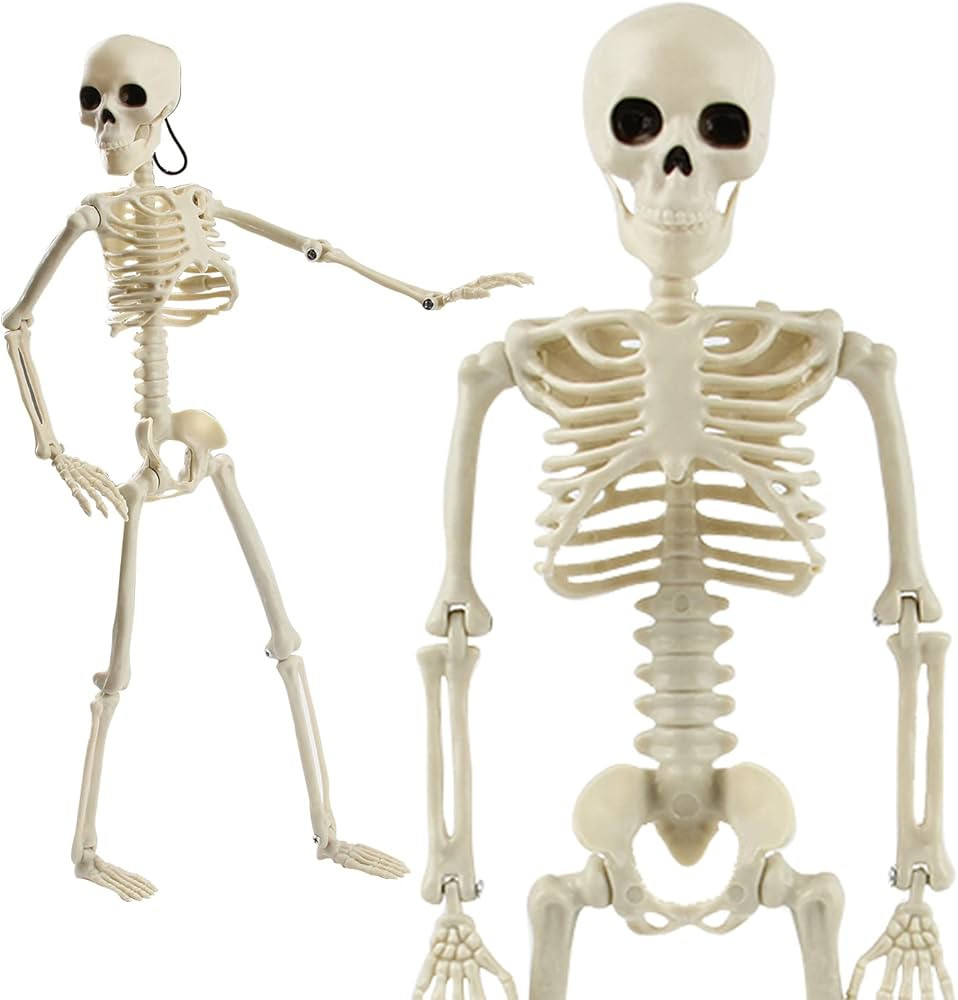 CCINEE Halloween Skeleton Decoration,Full Body Posable Joint Haning Skeletons for Halloween Party... | Amazon (US)