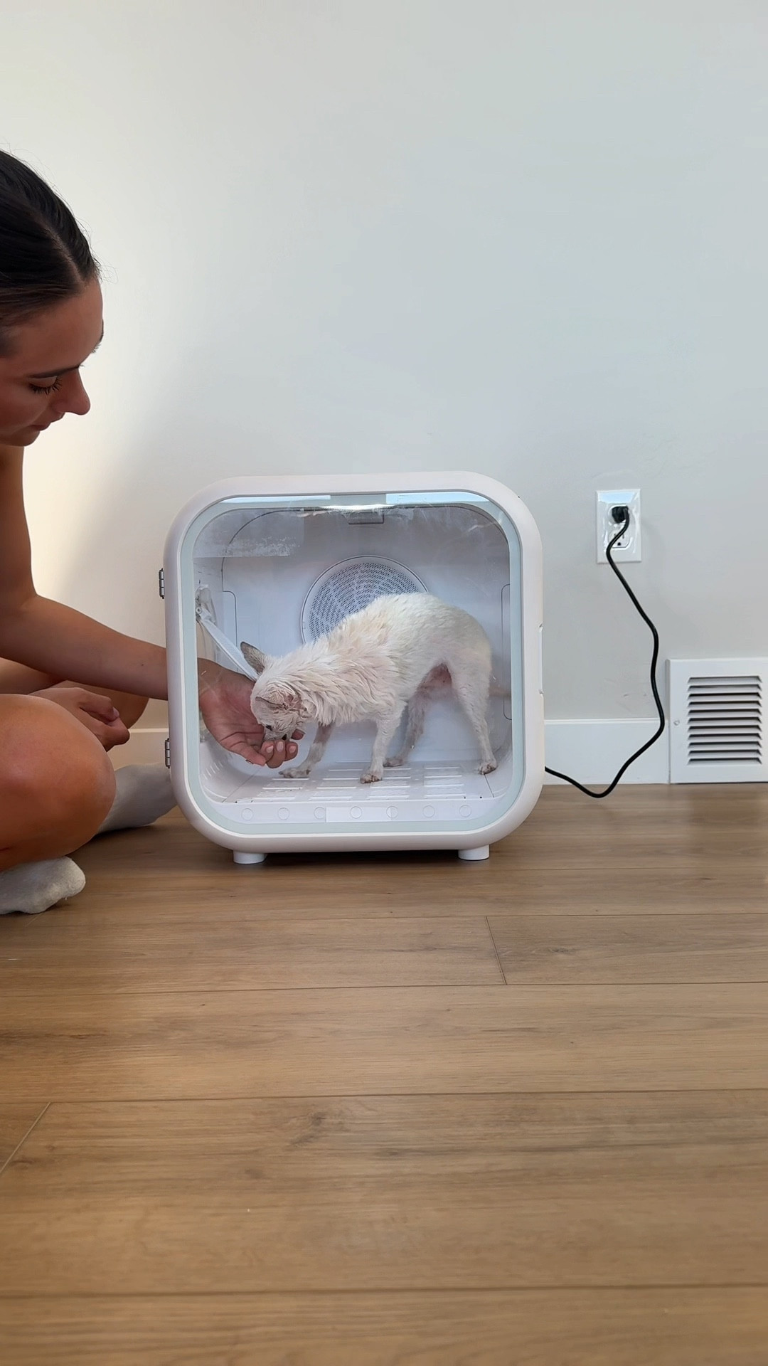 Love this pet home dryer!🙌🏼