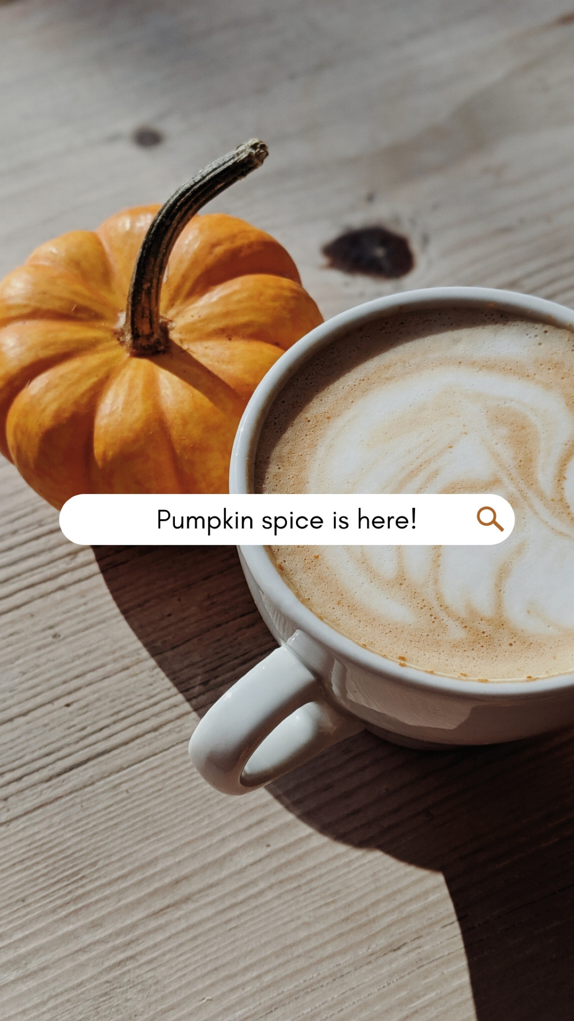 Halloween 🎃 🎃🎃☕️☕️☕️

halloween pumpkin ceramic, Halloween coffee mugs, Halloween kitchen, Halloween kitchen decor, Halloween pumpkin target, target Halloween decorations, coffee mug set, fall decor, coffee station fall

#LTKHalloween #LTKSeasonal #LTKunder50