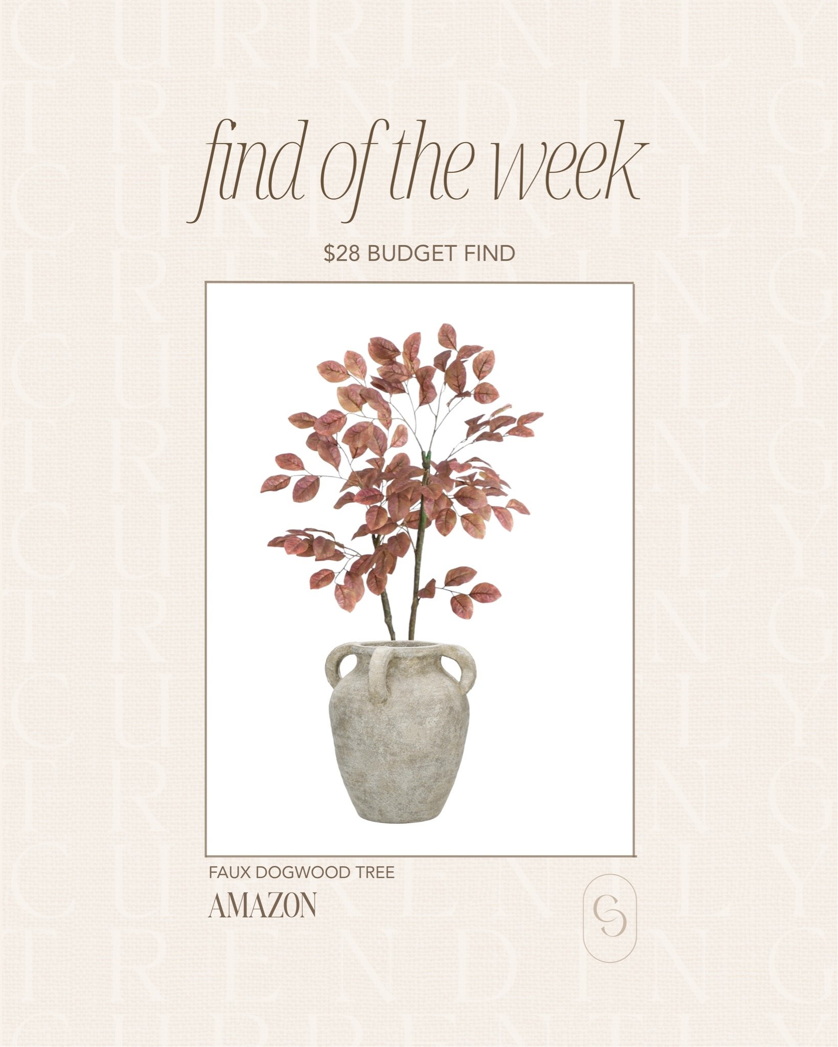 Find of the Week 🤎

This faux dogwood tree is one of those budget-friendly pieces that instantly makes a space feel more elevated. The muted dusty mauve leaves are perfect for late summer transitioning into fall, and the sculptural branches look far more expensive than the price tag. Paired with a textured vase, it creates an effortless designer look for just $28.

✨ Budget-friendly
🏡 High-end look
🍂 Perfect for summer-to-fall styling

Comment LINK if you want the details, or shop everything instantly through my LTK! 🤎

#LTKHome #BudgetDecor #AmazonHome #HomeDecorFinds #NeutralHome