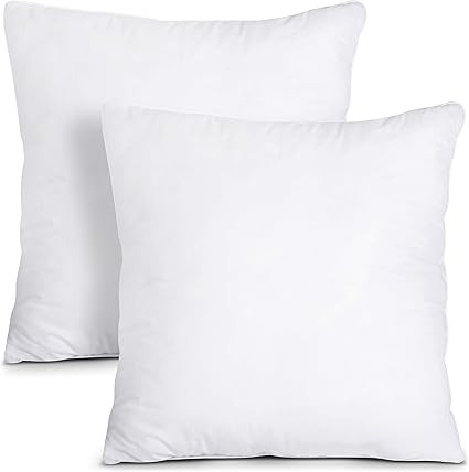 Utopia Bedding Throw Pillows Insert (Pack of 2, White) - 24 x 24 Inches Bed and Couch Pillows - I... | Amazon (US)