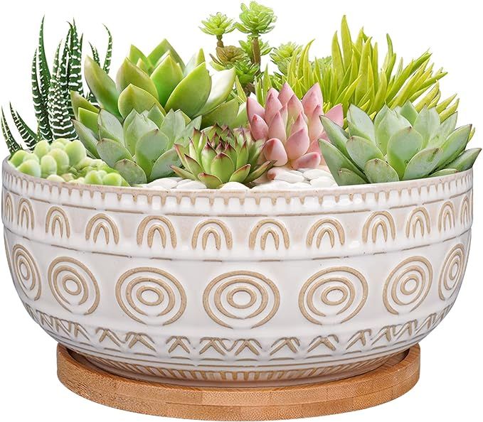 8 Inch Ceramic Succulent Planter Pot with Drainage Hole and Saucer Round Shallow Planter for Indo... | Amazon (US)