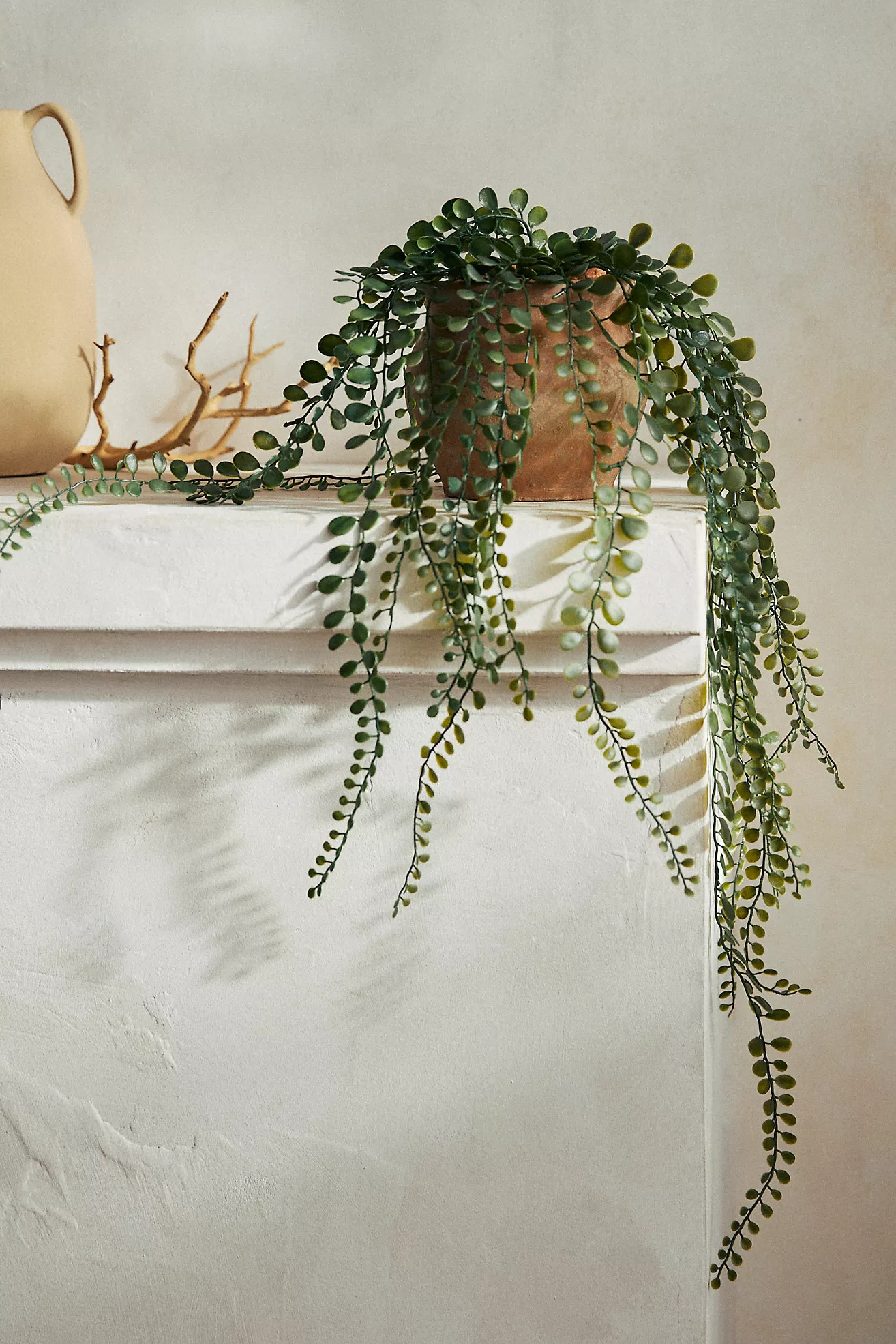 Faux Hanging Button Fern | Anthropologie (US)
