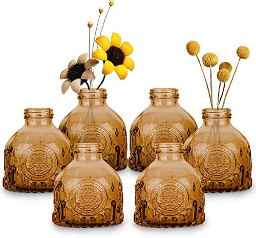 ComSaf Glass Bud Vases Set of 6, Small Vintage Flower Bottle, Petite Glass Flower Vase for Floral... | Amazon (US)