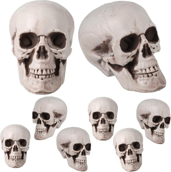 Boao 8 Pcs Halloween Skull Heads, 2.4 x 3.1 in Skeleton Skulls for Decor | Amazon (US)
