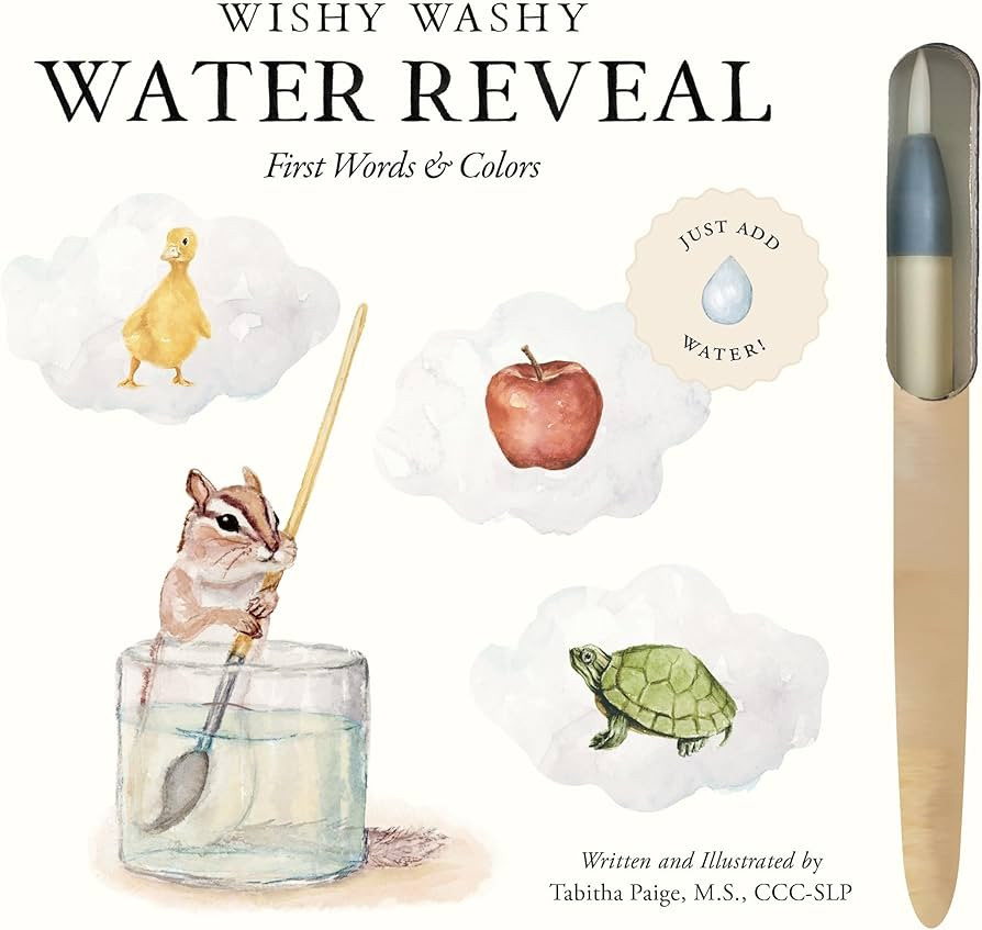 Wishy Washy (Water Reveal Edition): A Reusable Water Reveal Activity Book Teaching First Words an... | Amazon (US)