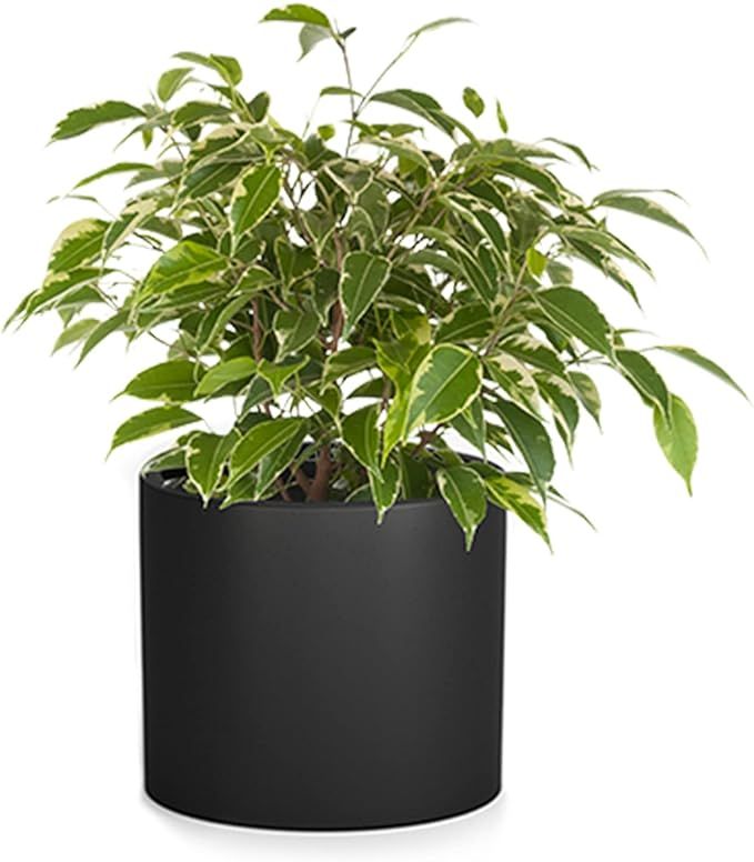 Fox & Fern 8 Inch Black Fiberstone Indoor Plant Pots with Drainage - Set of 3 | Amazon (US)