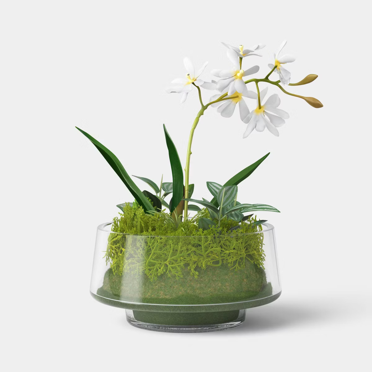 Orchid Glass Terrarium - Threshold™ | Target