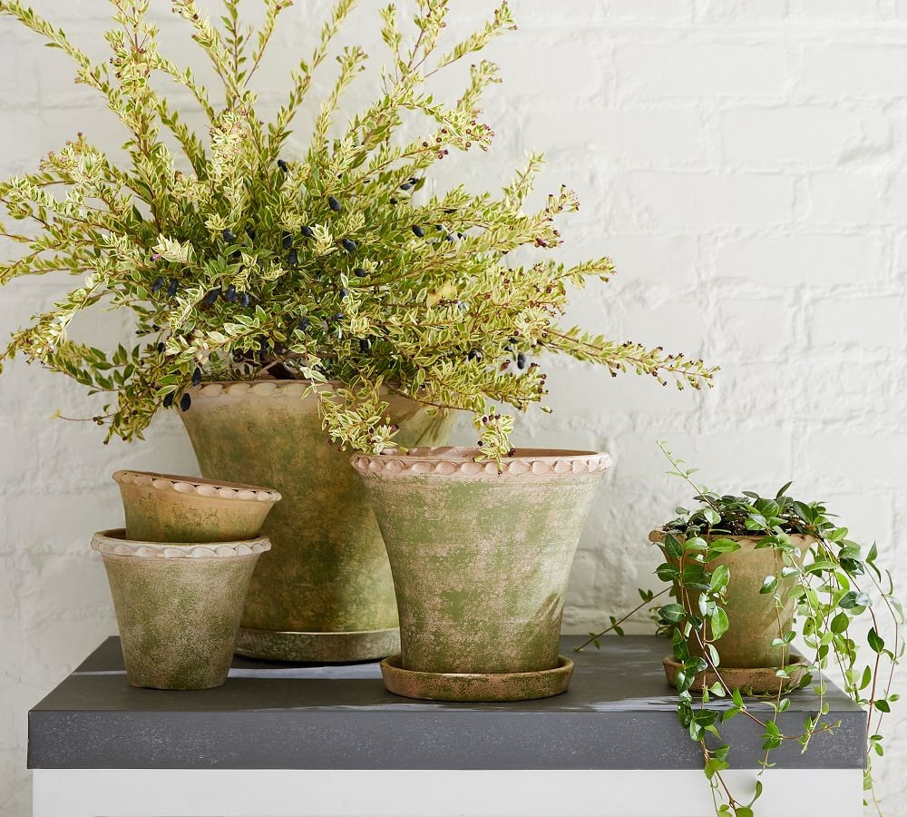 Provence Scalloped Edge Planter - Moss | Pottery Barn (US)