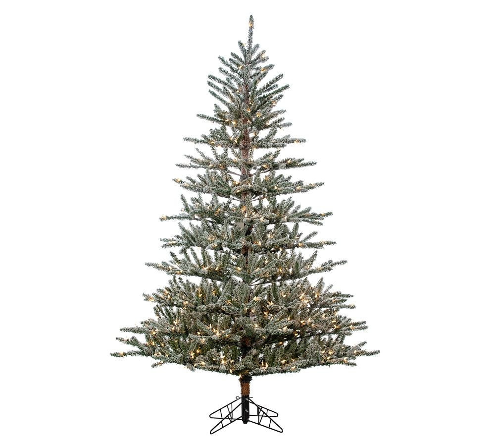Artificial Lighted Flocked Scotch Pine Tree With Clear Lights - 7ft | Pottery Barn (US)