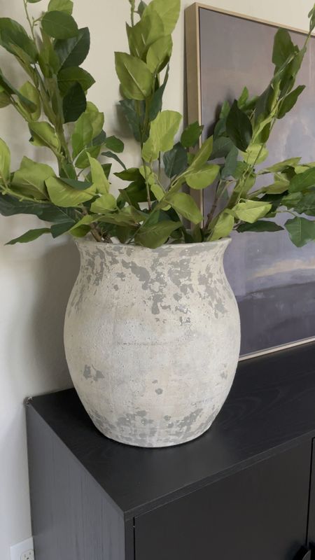 These stems look so real! They come in a set of 3, and I have 6 in this vase. 

Living room inspiration, home decor, our everyday home, console table, arch mirror, faux floral stems, Area rug, console table, wall art, swivel chair, side table, coffee table, coffee table decor, bedroom, dining room, kitchen,neutral decor, budget friendly, affordable home decor, home office, tv stand, sectional sofa, dining table, affordable home decor, floor mirror, budget friendly home decor, dresser, king bedding, oureverydayhome 

#LTKFindsUnder50 #LTKHome #LTKSaleAlert
