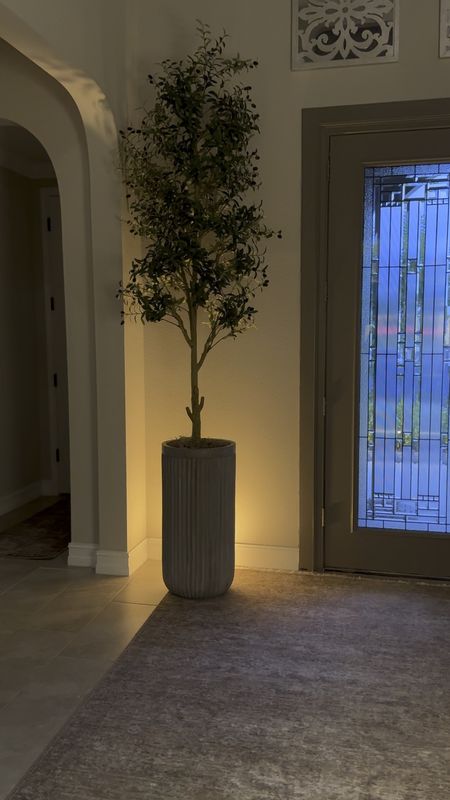 This Hue spotlight is perfect behind my 10 foot olive tree in my entryway! 

Nearly natural, olive tree, fluted planter, pottery barn planter, Hue spotlight, Loloi rug 

#LTKFindsUnder100 #LTKHome
