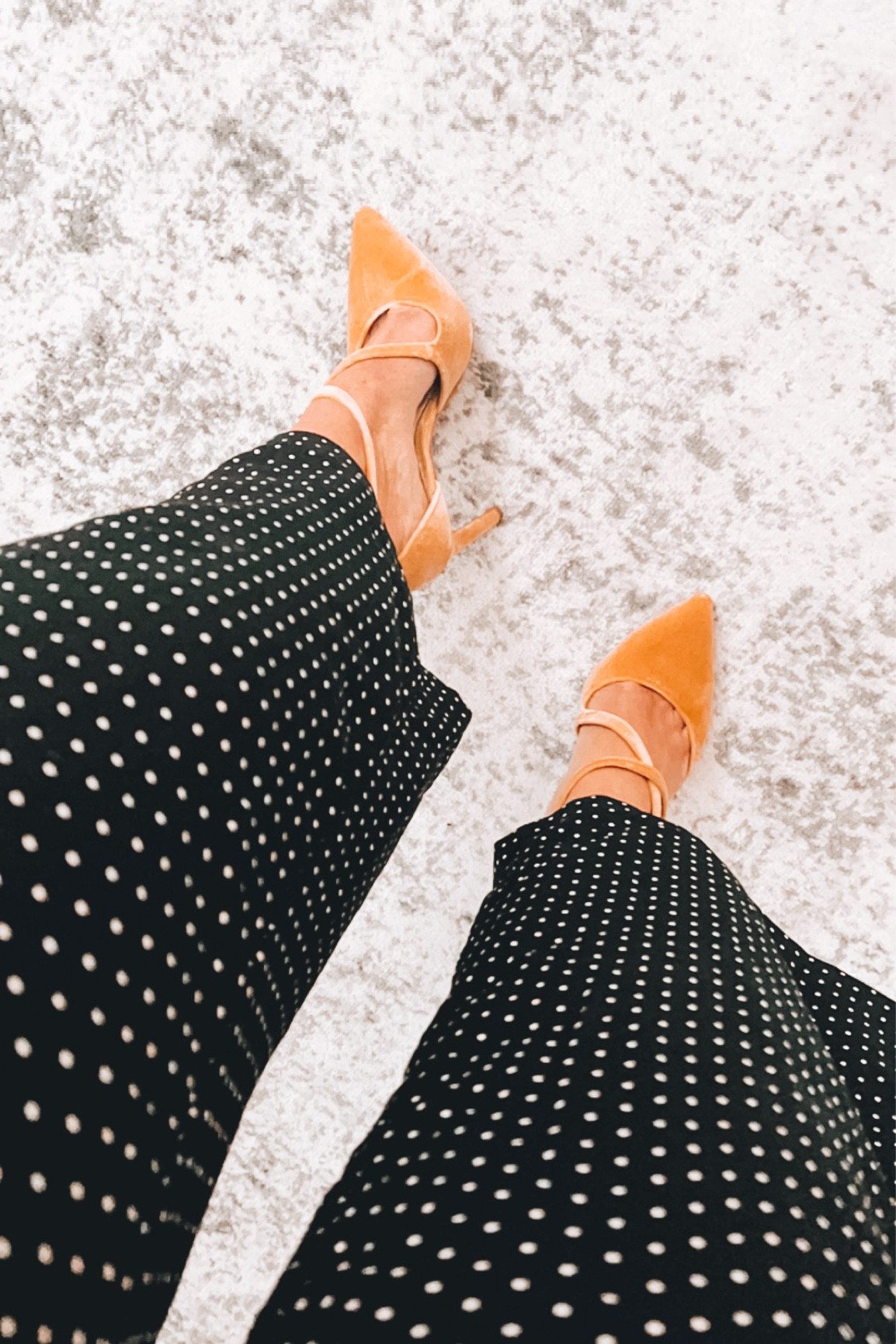 velvet & polka dots 🖤🤍

old fit - new items
velvet heels - Gianni Bini
Polka dot pants - SHEIN 

#LTKworkwear #LTKshoecrush #LTKstyletip