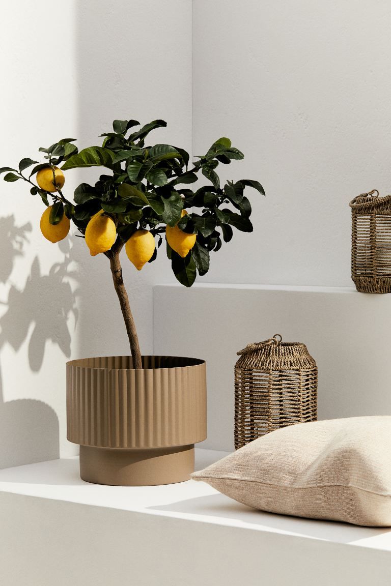 Large Plant Pot in Metal - Black - Home All | H&M US | H&M (US + CA)