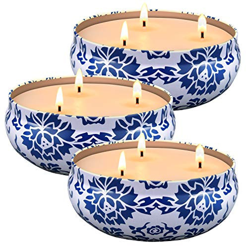 Hausware Citronella Candles Outdoor & Indoor - Large 13.5 oz Scented Candles Set 3 Pack Natural Soy Wax citronella Candles for Garden Patio Yard Home Balcony Camping Backyard | Amazon (US)