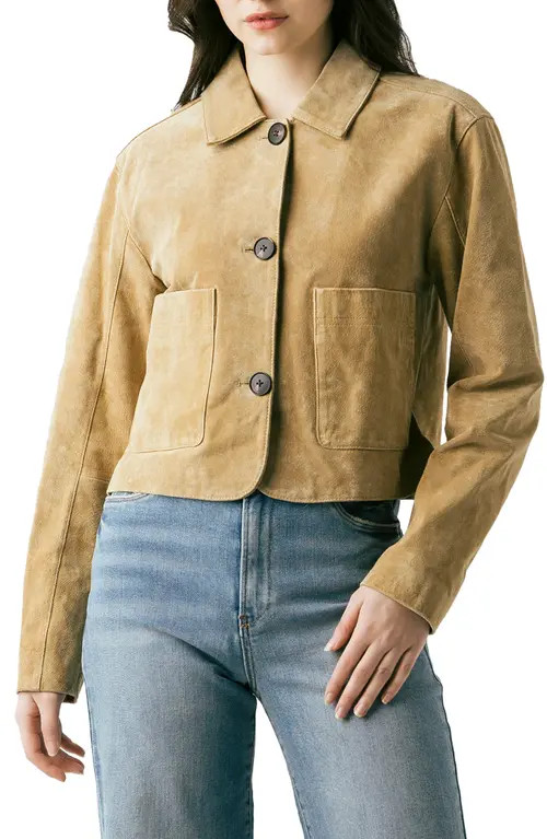 BLANKNYC Suede Crop Jacket in Cinnamon Crunch at Nordstrom, Size Large | Nordstrom