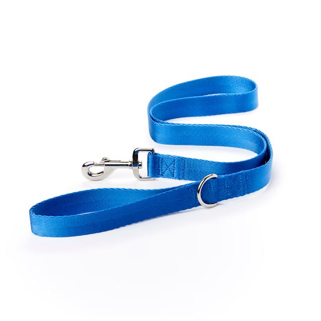 YOULY The Classic Blue Webbed Nylon Dog Leash, 4 Foot | Petco