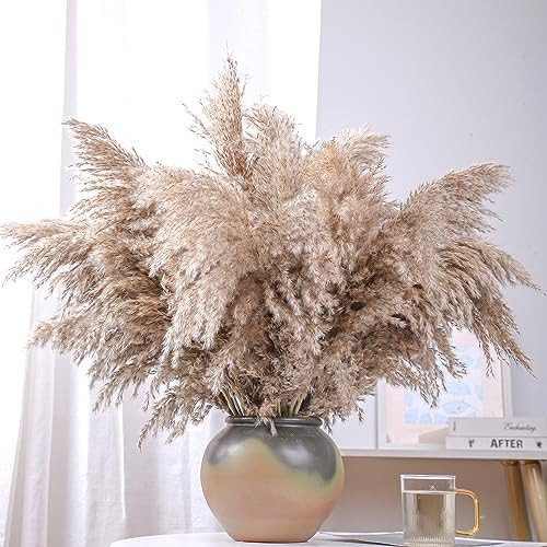 20 Stems 28" Large Brown Pampas Grass - Natural Fluffy Pompas Grass Bulk for Floor Vase - Boho Decor Home Wedding Event Decor, Gift | Amazon (US)