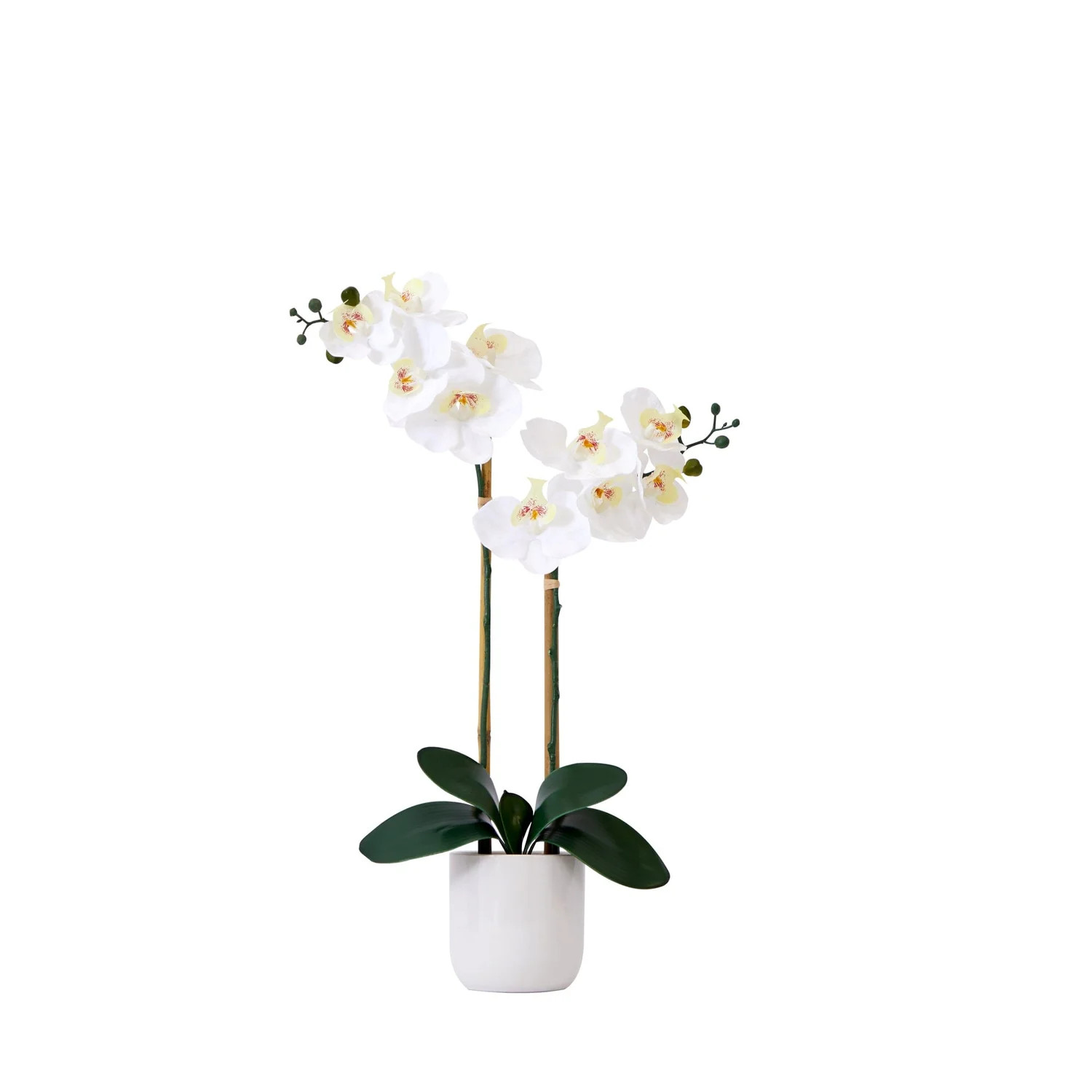 26” Artificial Real to Touch Double Orchid Phalaenopsis with Decorative Vase | Nearly Natural | Nearly Natural
