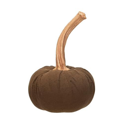 Creative Co-Op Flocked Resin Pumpkin with Stone Powder, Brown | Amazon (US)