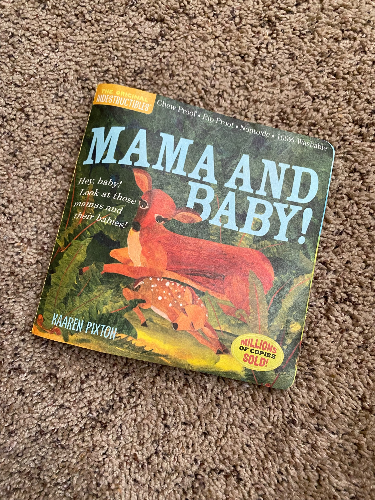 Baby indestructible books are the absolute best! So inexpensive and my almost 10 month old is obsessed with them!

Books, baby books, indestructible books, baby shower, baby shower gift, baby gift, toddler gift, toddler, affordable baby toys, baby toy 

#LTKbump #LTKSeasonal #LTKbaby