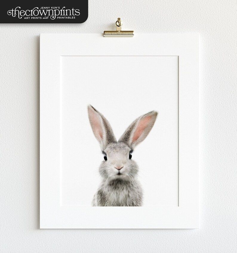 Animal wall art Bunny print PRINTABLE art Animal print | Etsy | Etsy (US)
