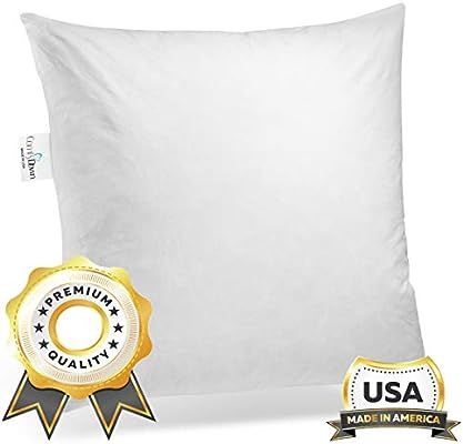 ComfyDown 95% Feather 5% Down, 18 X 18 Square Decorative Pillow Insert, Sham Stuffer - Made in US... | Amazon (US)