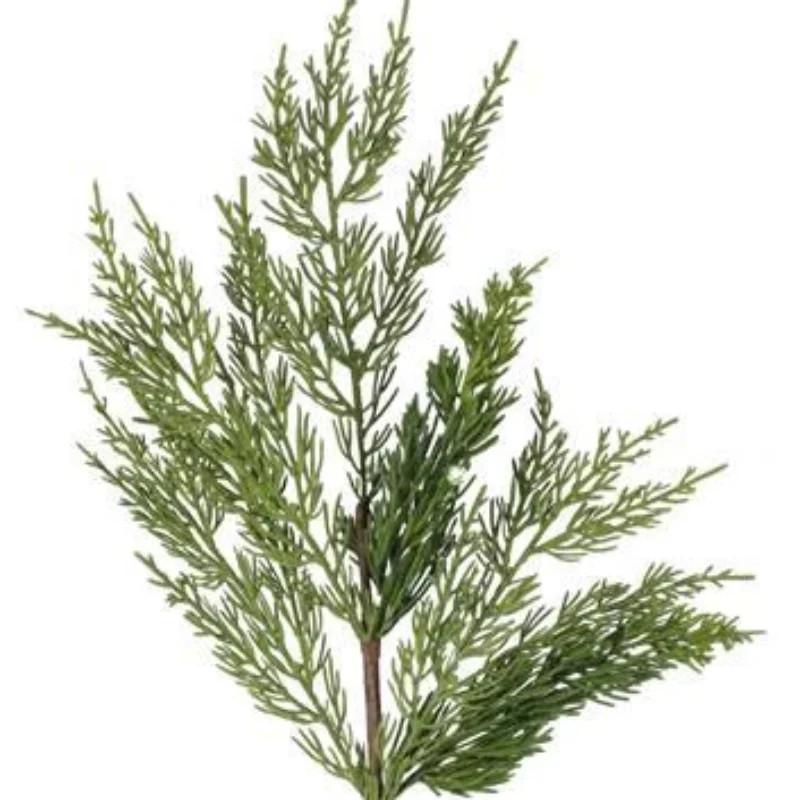 24" Arborvitae  Cedar Spray | Linen & Flax Co