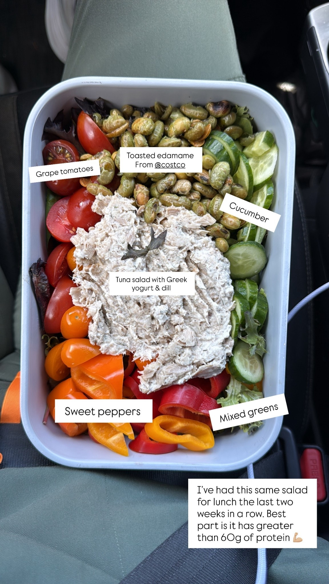 A high protein lunch with greater than 60g

See my meal prep essentials below that help me stay on track 

#LTKfoodie #LTKmomlife #LTKActive