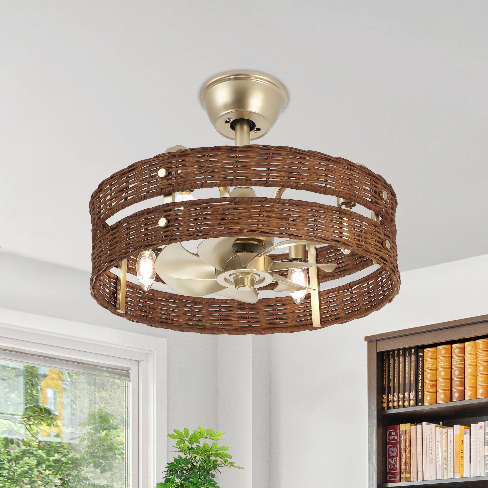 18.5" Rattan Caged Ceiling Fan With Light Kit And Remote Control | Wayfair North America