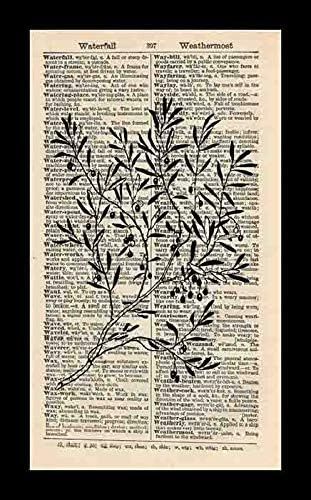 Olive Tree Botanical Artwork Olive Branch Nature Art Vintage Dictionary Art Print-Book Art Print-Wal | Amazon (CA)