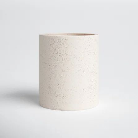 Joss & Main Klose Ceramic Pot Planter | Wayfair | Wayfair North America