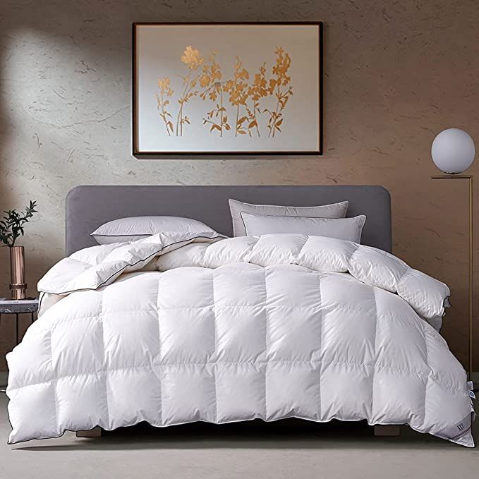 KRT Luxurious Goose Feathers Down Comforter Thickened Heavyweight Warmth Quilted Duvet Insert 100... | Amazon (US)