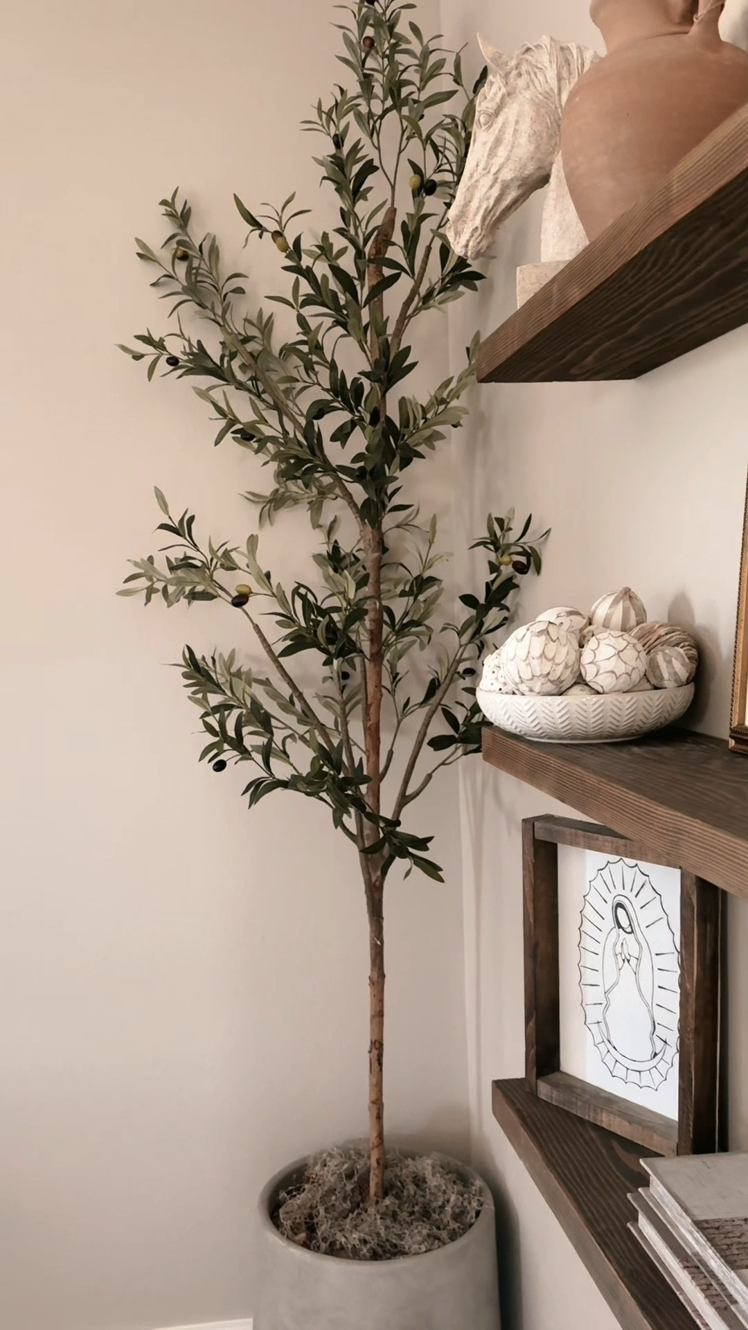 My favorite olive tree🤎

#LTKHome