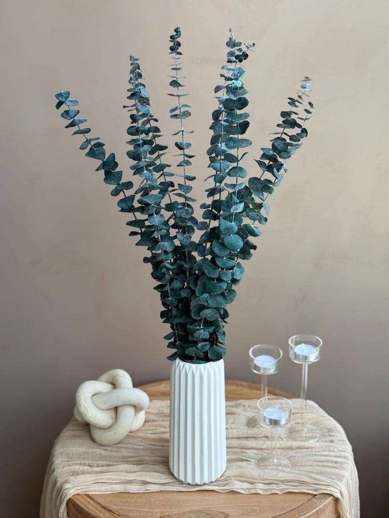 Bring effortless greenery into your home with these preserved eucalyptus bunches by EverdriedBloom. Available in Spiral Blue, Spiral Red, and Small Leaf Red varieties, these real eucalyptus stems are preserved to keep their color, texture, and graceful shape for months or even years. The sculptural spiral stems add modern elegance, while the smaller-leaf variety offers delicate, rich burgundy tones. Perfect for styling in a vase, adding to floral arrangements, or using in DIY projects—beautiful greenery with no watering required.

#LTKhome #eucalyptusdecor #driedflowers #naturaldecor #bohodecor #homedecorinspo #greenerydecor #ltkstyle #minimalisthome #everlastingdecor

#LTKHome #LTKSeasonal #LTKSpringSale