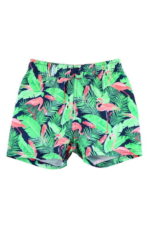 RuggedButts Kids' Flamingo Print Swim Trunks in Flamingo Frenzy at Nordstrom, Size 2T | Nordstrom