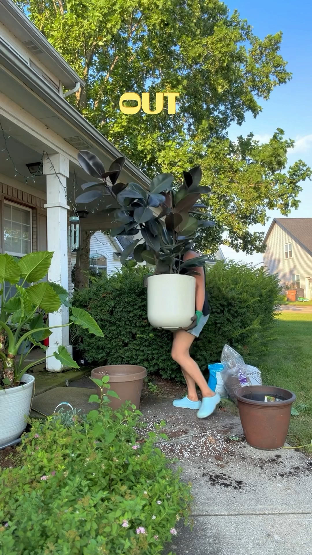If you’re looking for premium planters that can truly handle large plants, these have become my go-to. They’re exceptionally well-built, incredibly sturdy, and weatherproof, so they look just as beautiful indoors as they do outdoors while standing up to the elements year-round.

The Mason Series is ideal for large statement plants thanks to its generous size and deep design, giving roots plenty of room to grow. The Bowl Planters are my personal favorite, especially for ferns like my foxtail fern—they complement their natural shape beautifully.

I also love that they come with drainage holes for healthy root growth, yet they’re elegant enough to double as decorative planters. With such a wide range of sizes and styles, it’s easy to find the perfect planter for any space.

These are, without a doubt, my favorite planters I’ve ever owned. Beautiful, durable, and built to last. 🌿

#LTKdayinmylife #LTKHome #LTKSeasonal