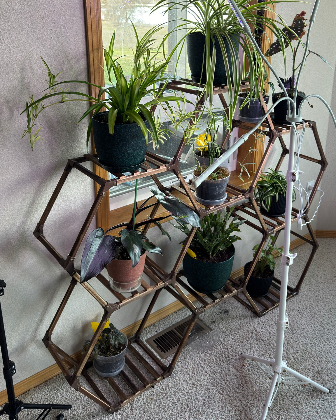 Hexagonal plant stand #plants #plantstand 

#LTKfindsunder50