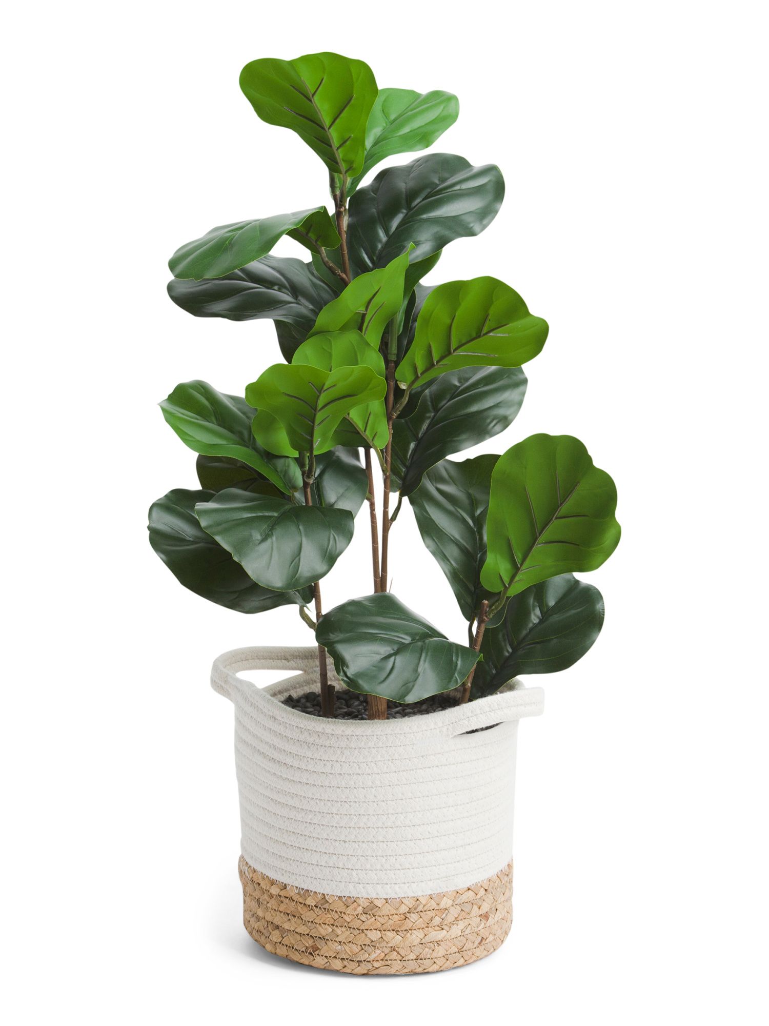 Faux Fiddle Leaf Fig In Natural Woven Basket | TJ Maxx