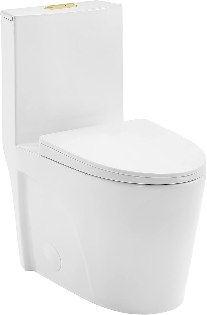 Swiss Madison St. Tropez SM-1T254MBHB One-Piece Elongated Toilet Vortex Dual-Flush 1.1/1.6 gpf wi... | Amazon (US)