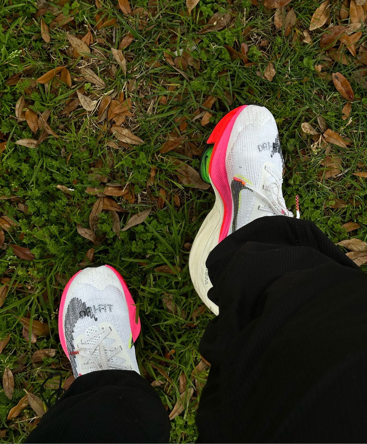 Nike Air Zoom Alphafly Next% … curated on LTK