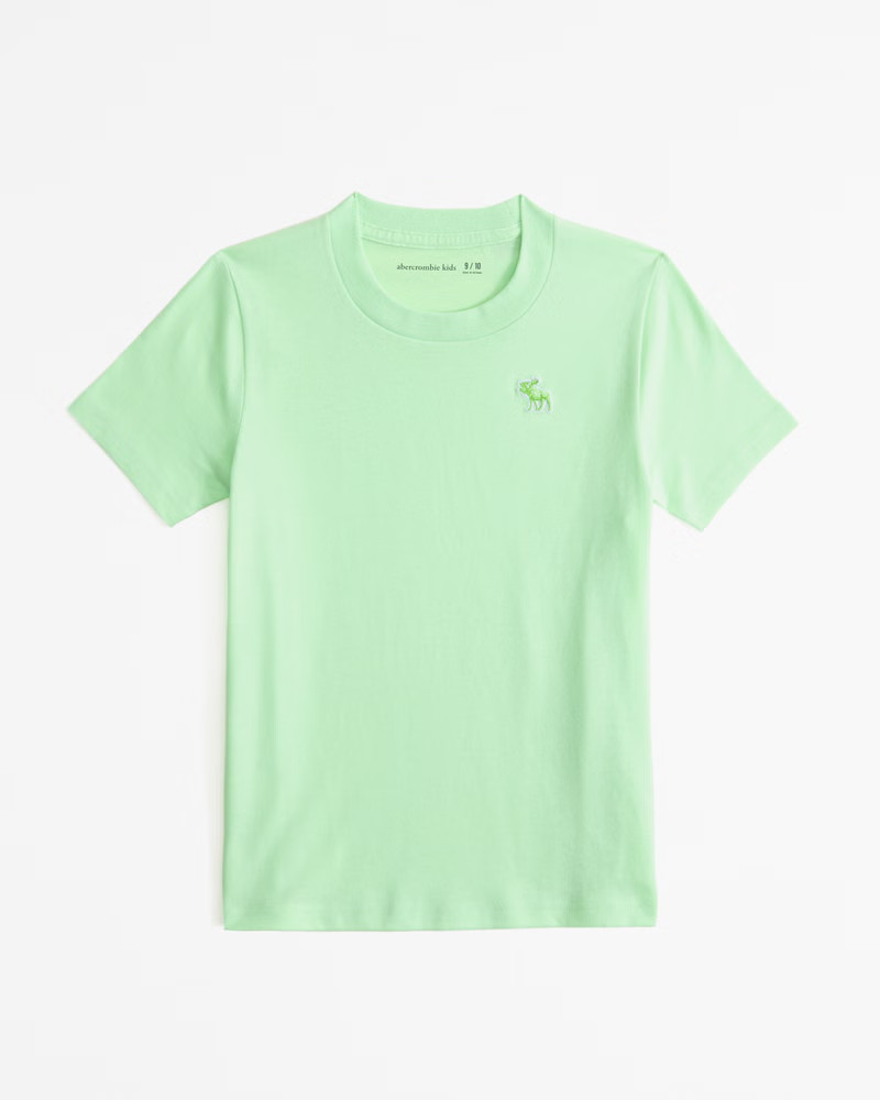 essential icon crew tee | Abercrombie & Fitch (US)
