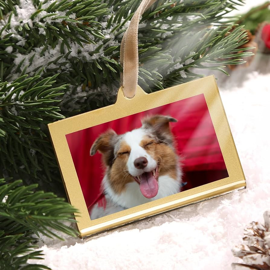 UNIQOOO 8 Set Christmas Acrylic Rectangle Photo Ornaments for Display Picture, 3"x 2" Acrylic Han... | Amazon (CA)