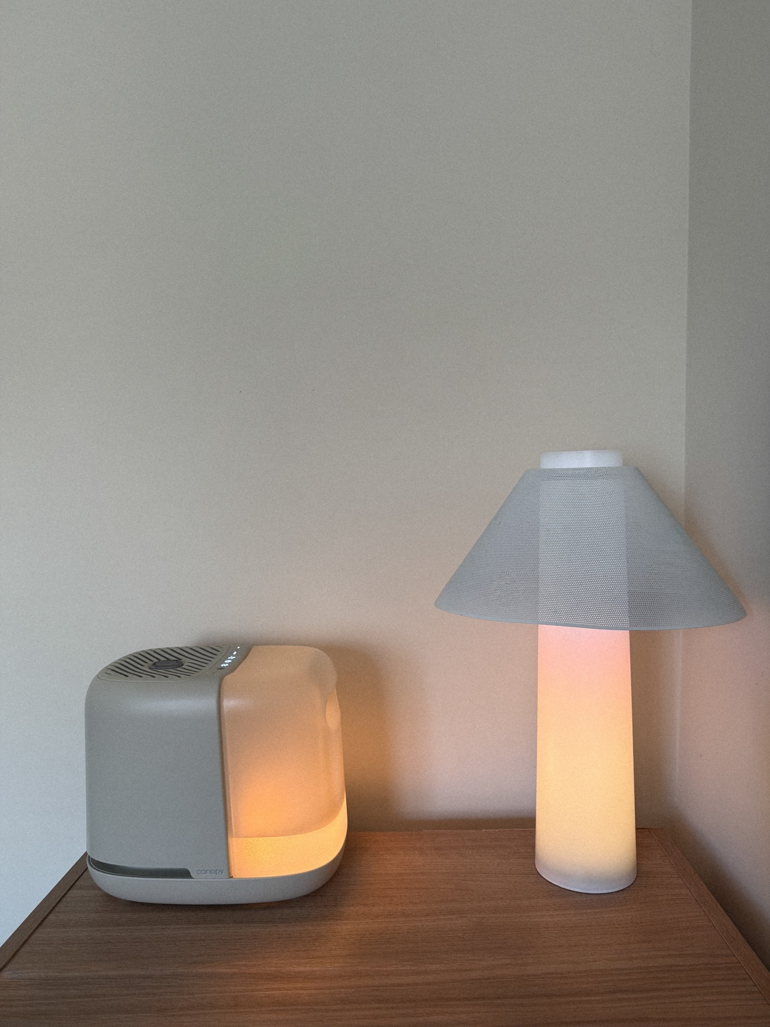 my newest nightstand essential ✨ The Canopy Bedside Humidifier has officially joined my wellness lineup— and I’m obsessed!! btwn allergies, dry skin, and restless nights, this tiny addition has already made a huge difference 🌿💤

it helps keep my air clean + hydrated (hello, dewy skin + fewer allergy flare-ups), making it a must for my nightly wind-down routine. paired with my Loftie Lamp for and my Hatch Restore for peaceful sleep and gentle wakeups, my bedside setup is officially my wellness sanctuary.

these are the perfect gifts for anyone looking to support their skin, sleep, and overall wellness.

you can grab it for 15% off if you shop using my link: https://getcanopy.co/OXZONNALEWIS

#CanopyHumidifier #LoftieLamp #HatchRestore #NightstandEssentials #SleepWellness #CleanBeauty #WellnessHome #SkincareRoutine #LTKHome #LTKWellness #LTKBeauty #CozyBedroom #DrySkinRelief #AllergyRelief #SelfCareRoutine #SleepBetter #WellnessEssentials #HydratedSkin #LTKFinds

#LTKHome #LTKGiftGuide #LTKBeauty