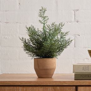 Faux Potted Pine Tabletop Tree | West Elm (US)
